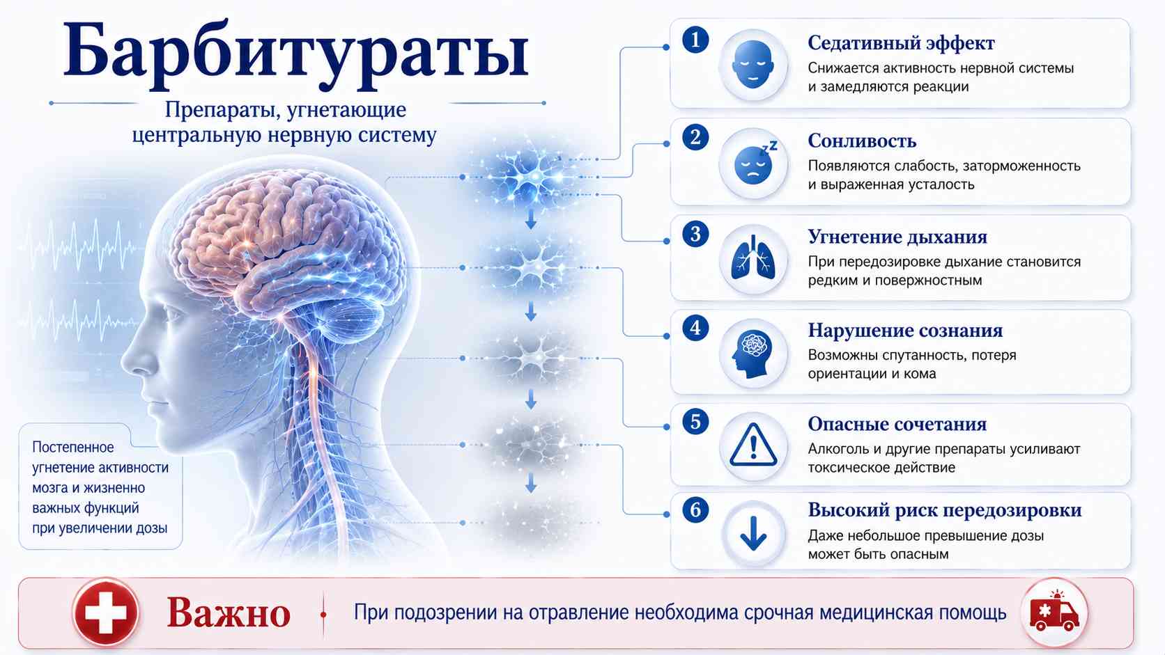 Барбитураты: влияние на центральную нервную систему и риски передозировки Инфографика о влиянии барбитуратов на мозг и центральную нервную систему: седативный эффект, сонливость, угнетение дыхания, нарушение сознания и риск передозировки.